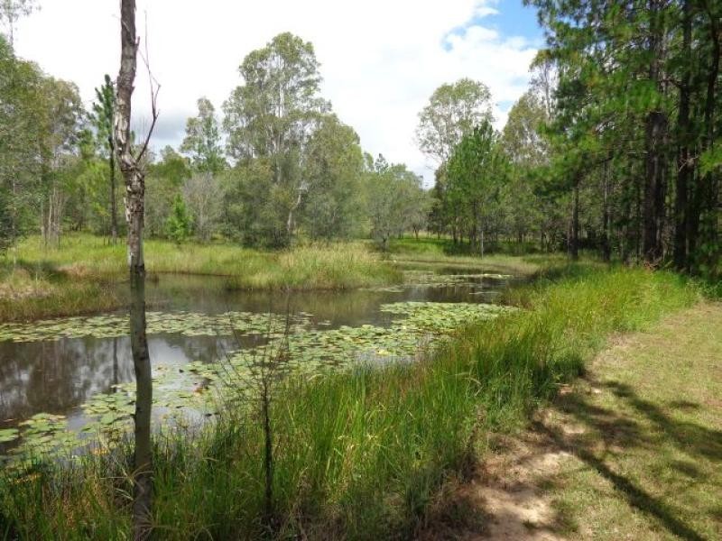 38 Pioneer Road, Grahams Creek QLD 4650