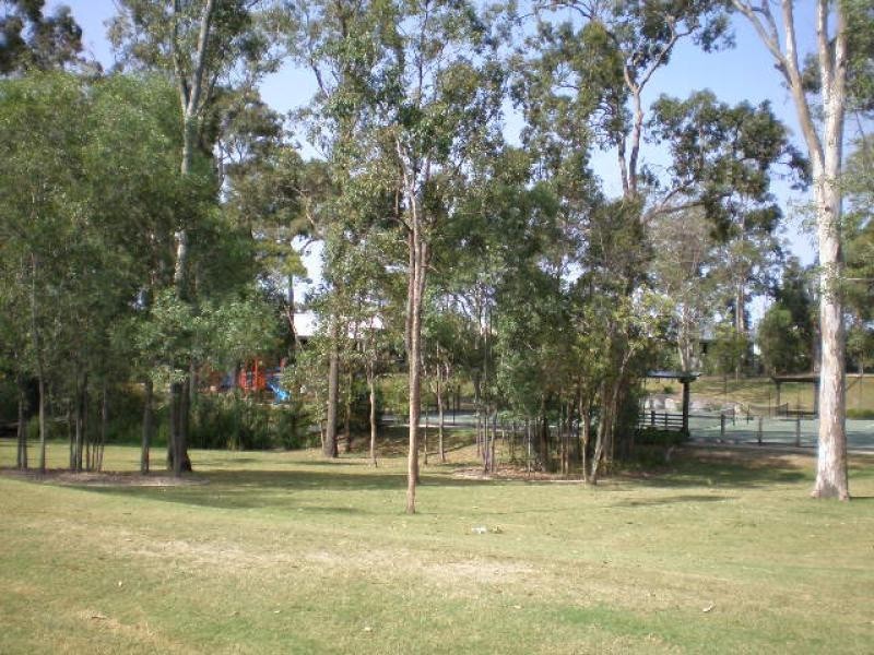 11 Begonia Street ORMEAU 4208, Ormeau QLD 4208