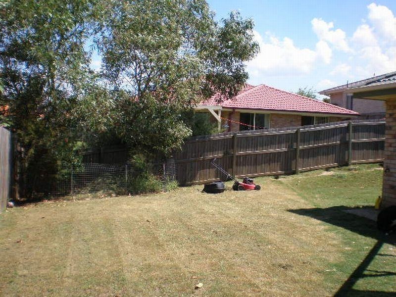 11 Begonia Street ORMEAU 4208, Ormeau QLD 4208