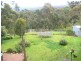 16 George Booth  Drive SEAHAMPTON 2286, Seahampton NSW 2286