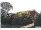 Jesmond NSW 2299