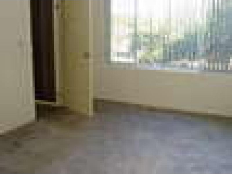 Jesmond NSW 2299