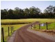 51 Old Coach Road LIMEBURNERS CREEK 2324, Limeburners Creek NSW 2324