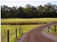 51 Old Coach Road LIMEBURNERS CREEK 2324, Limeburners Creek NSW 2324