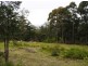 Duns Creek NSW 2321