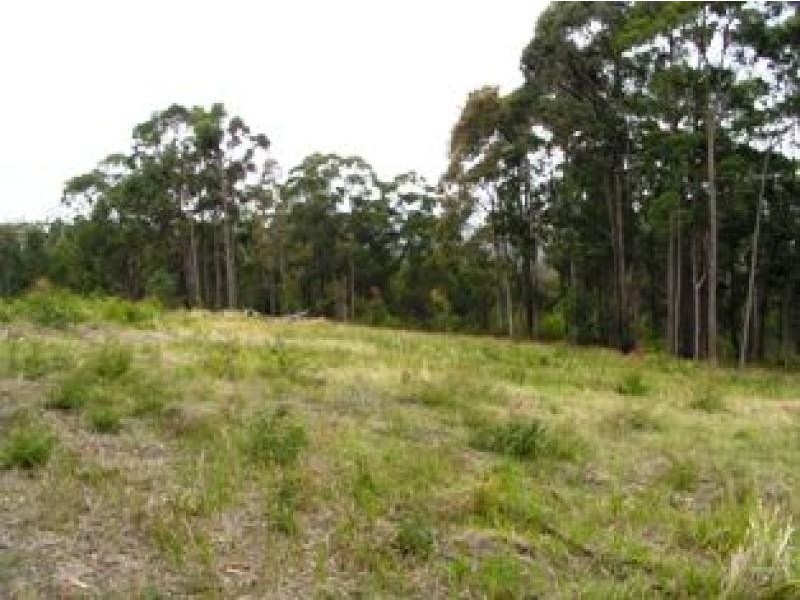 Duns Creek NSW 2321