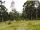 Duns Creek NSW 2321
