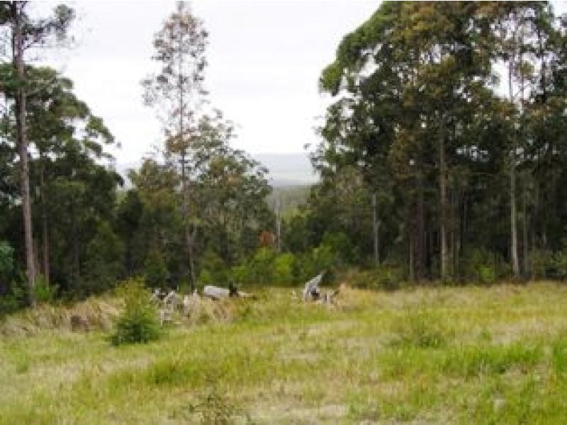 Duns Creek NSW 2321