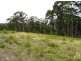 Duns Creek NSW 2321