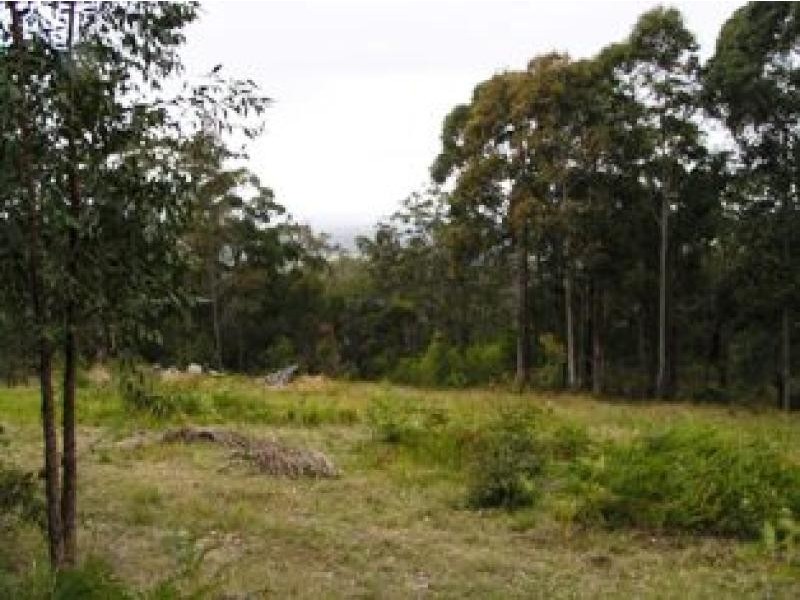 Duns Creek NSW 2321