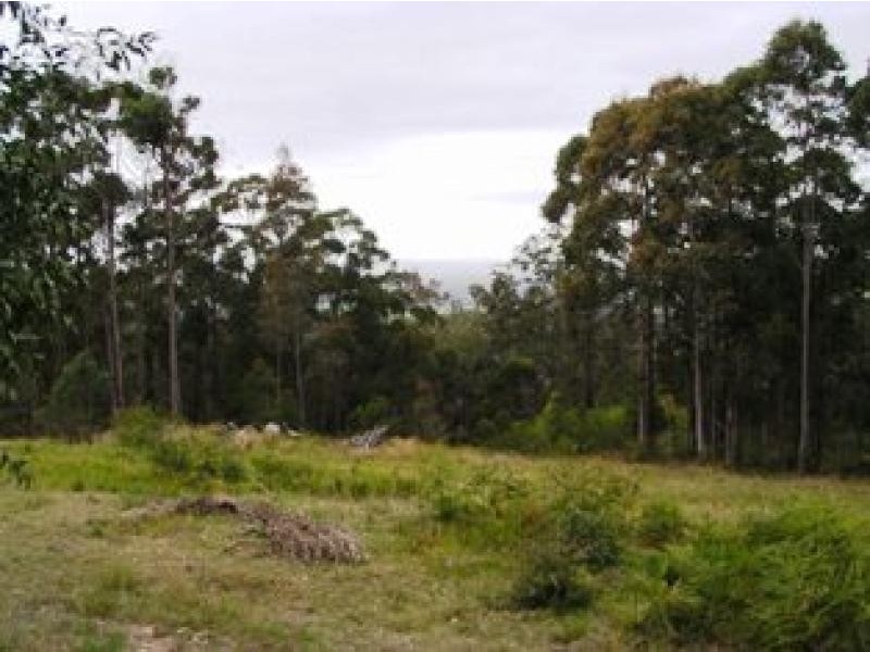 Duns Creek NSW 2321