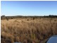 Binnaway NSW 2395
