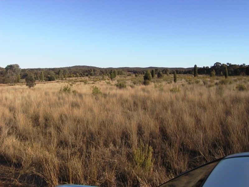 Binnaway NSW 2395