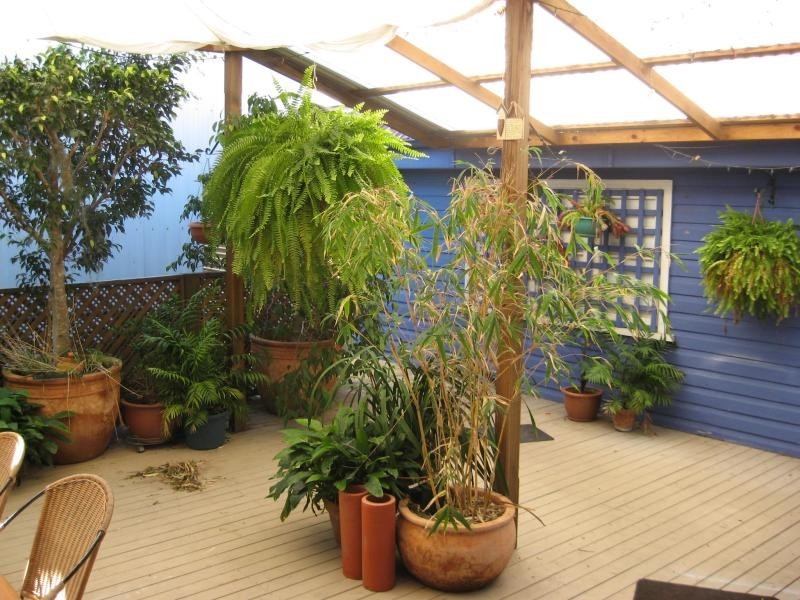 108 Dibbs Street ADAMSTOWN 2289, Adamstown NSW 2289