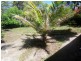 14 Robert Crescent LEMON TREE PASSAGE 2319, Lemon Tree Passage NSW 2319