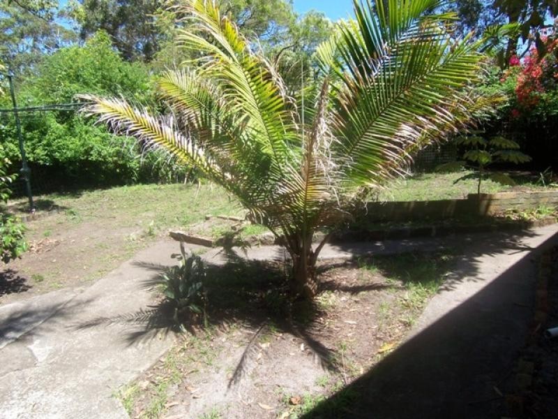 14 Robert Crescent LEMON TREE PASSAGE 2319, Lemon Tree Passage NSW 2319