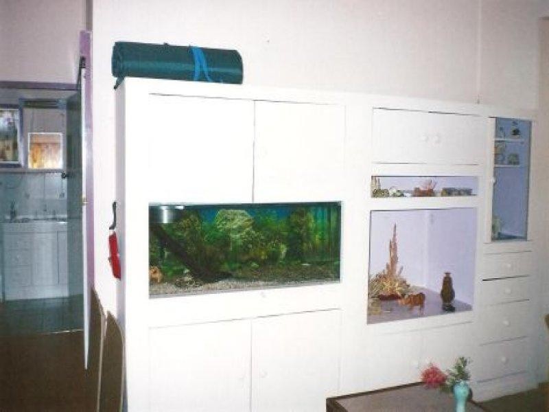 6 Goldston Street ALPHA 4724, Alpha QLD 4724