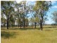 Yaamba QLD 4704