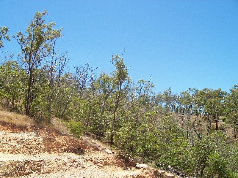 342 Holt Street FRENCHVILLE 4701, Frenchville QLD 4701