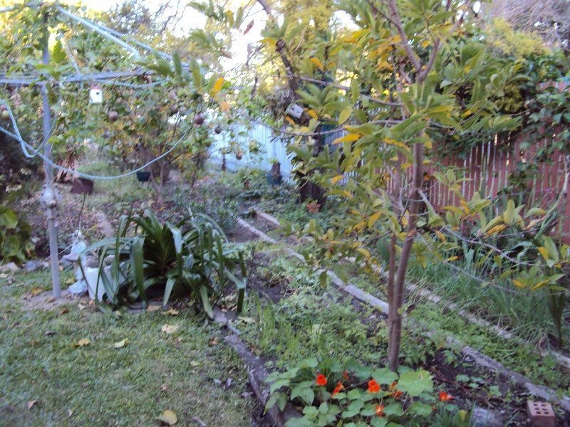 133 Stanley Street ALLENSTOWN 4700, Allenstown QLD 4700