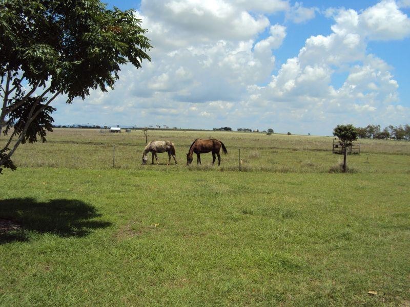 2 Reid Road ALTON DOWNS 4702, Alton Downs QLD 4702