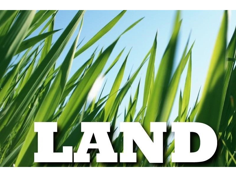 59 City Road ADAMSTOWN HEIGHTS 2289, Adamstown Heights NSW 2289