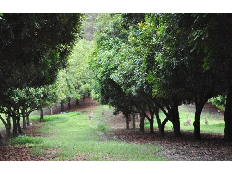 118 Schnapper Beach Road URUNGA 2455, Urunga NSW 2455