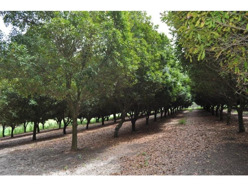 118 Schnapper Beach Road URUNGA 2455, Urunga NSW 2455