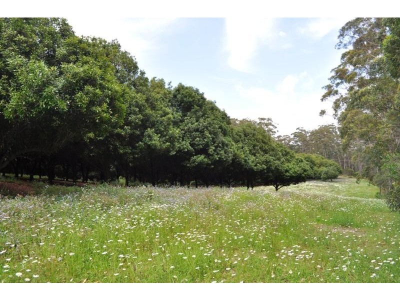 118 Schnapper Beach Road URUNGA 2455, Urunga NSW 2455