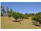 194 Talarm Road TALARM 2447, Talarm NSW 2447