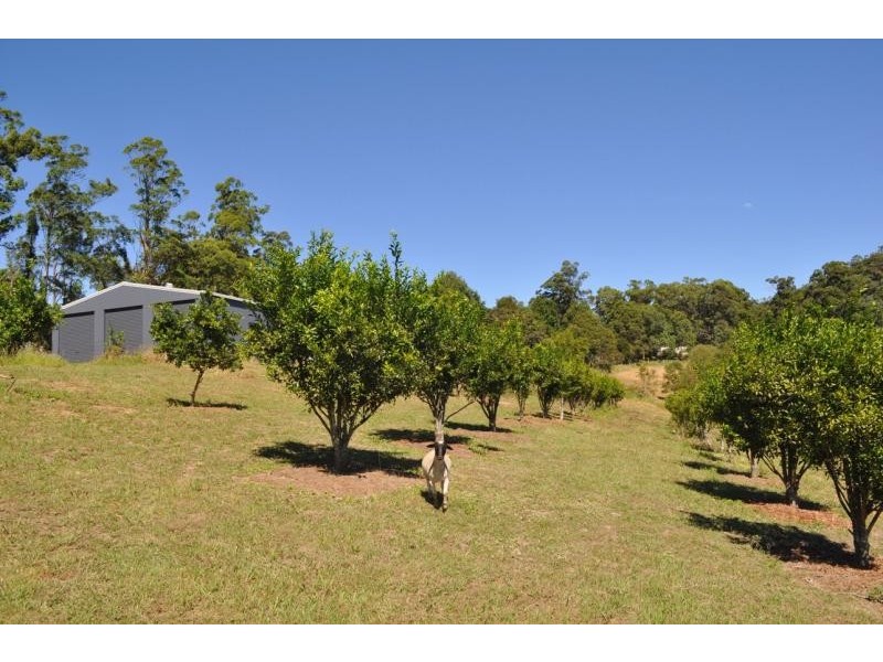 194 Talarm Road TALARM 2447, Talarm NSW 2447