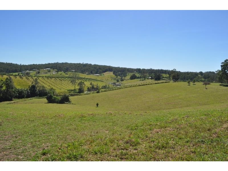 194 Talarm Road TALARM 2447, Talarm NSW 2447