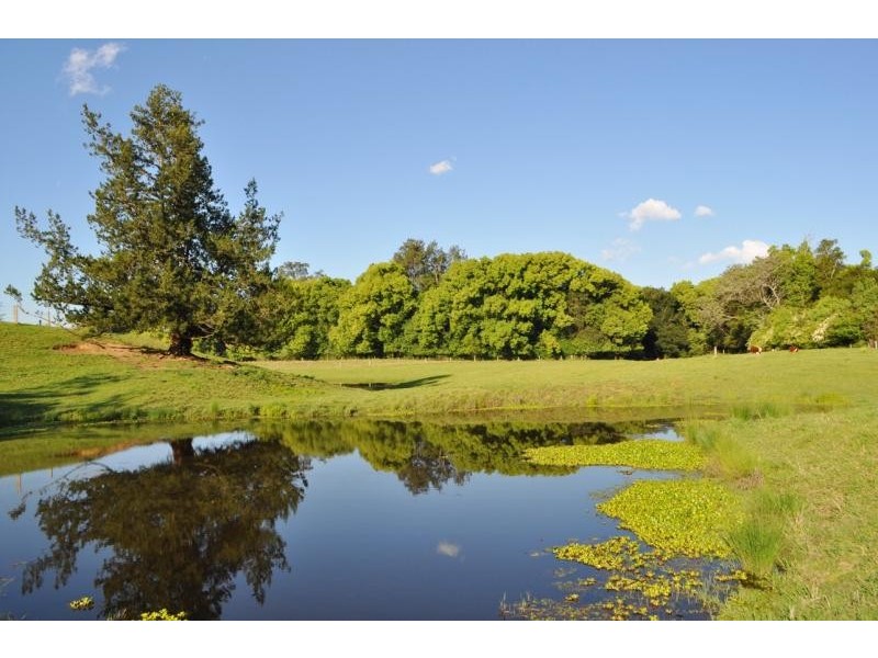 32 North Arm Road, Bowraville NSW 2449