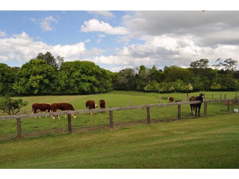 32 North Arm Road, Bowraville NSW 2449