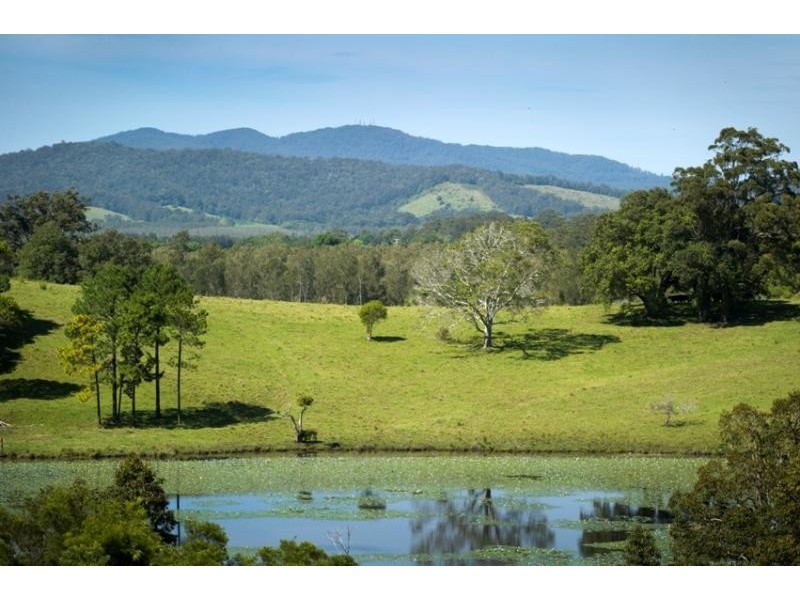 157 Florence Wilmont Drive, Nambucca Heads NSW 2448