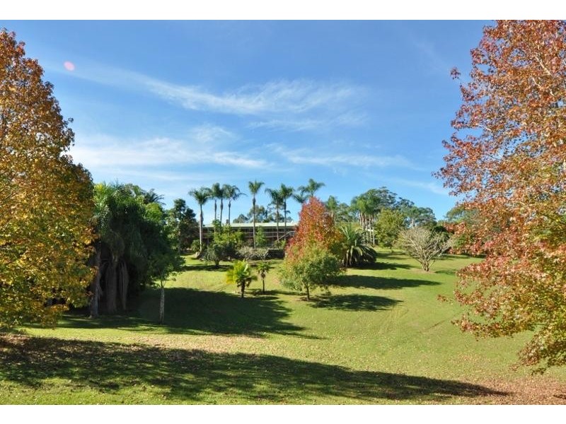 93 Irvines Road, Newee Creek NSW 2447