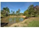 93 Irvines Road, Newee Creek NSW 2447