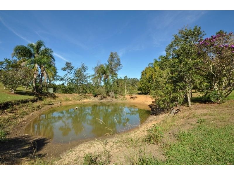 93 Irvines Road, Newee Creek NSW 2447