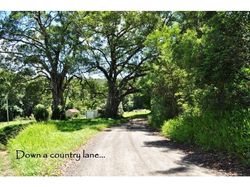 195 Barbers Lane, Yarrahapinni NSW 2441