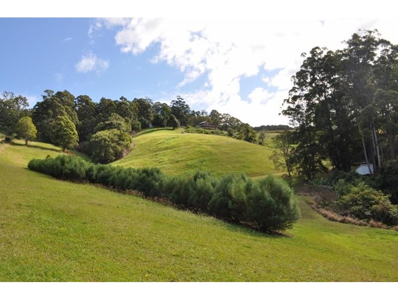 195 Barbers Lane, Yarrahapinni NSW 2441