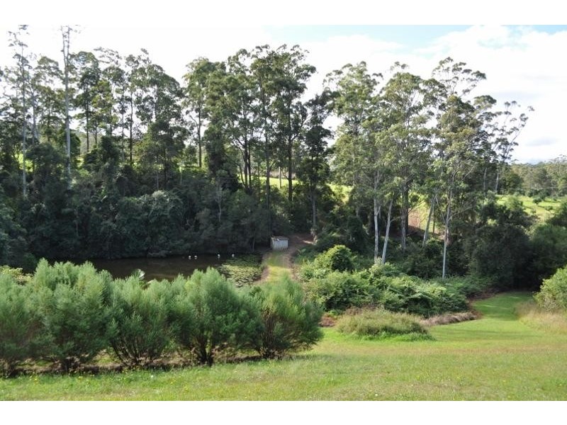 195 Barbers Lane, Yarrahapinni NSW 2441