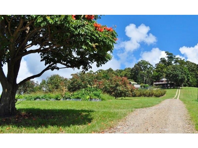 195 Barbers Lane, Yarrahapinni NSW 2441