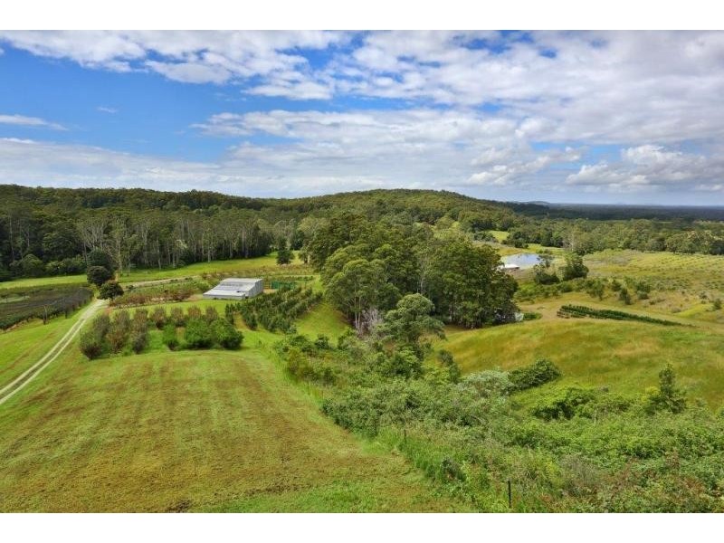 195 Barbers Lane, Yarrahapinni NSW 2441