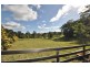 300 Irvines  Road, Tewinga NSW 2449