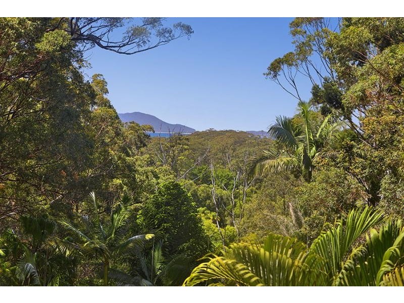 405 Grassy Head  Road, Grassy Head NSW 2441