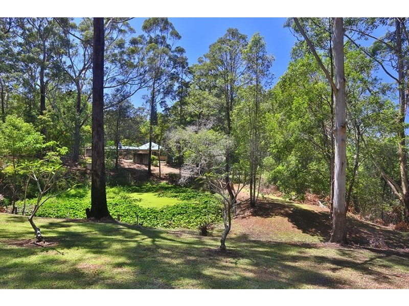 405 Grassy Head  Road, Grassy Head NSW 2441