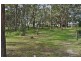 Fishermans Reach NSW 2441