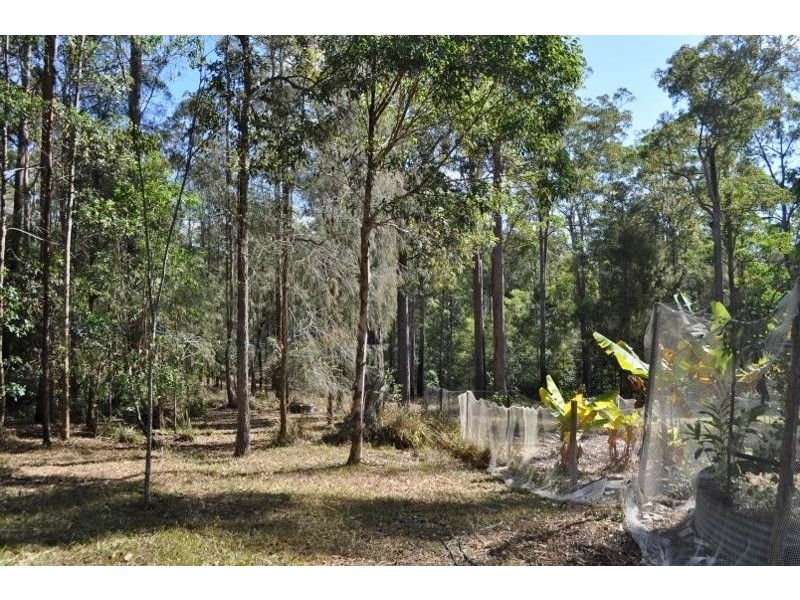 97 Main Street, Eungai Creek NSW 2441