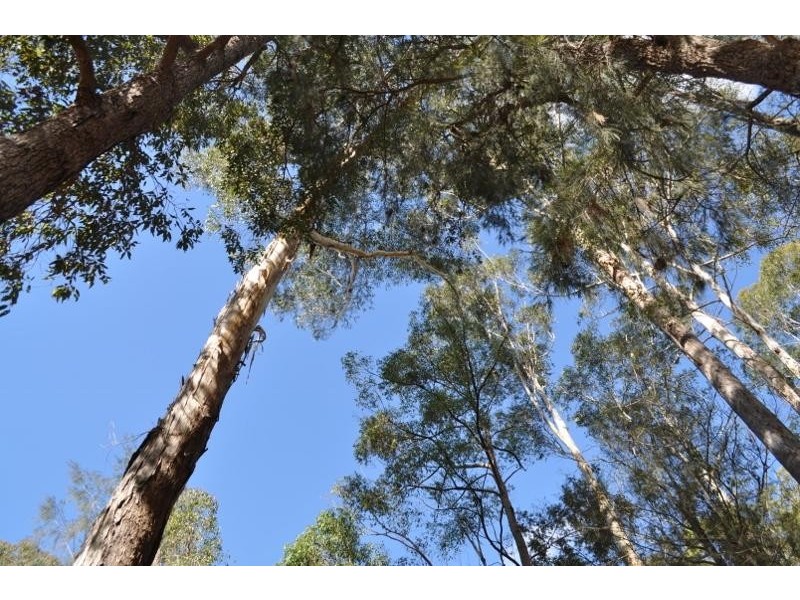 97 Main Street, Eungai Creek NSW 2441