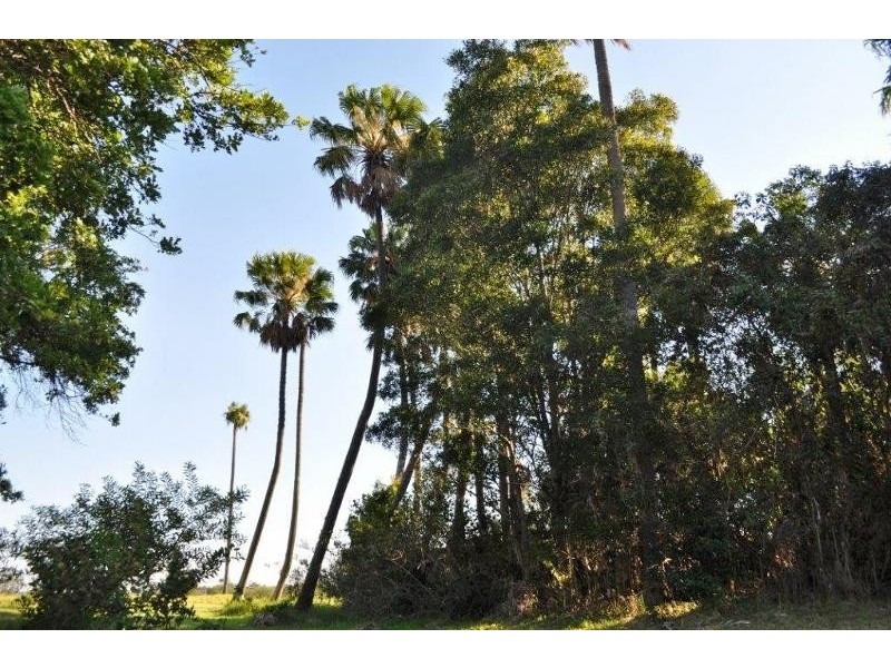 The Palms Shark Island, Fishermans Reach NSW 2441